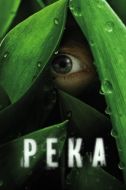 Постер Река (2012)