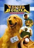 Постер Король воздуха: Седьмая подача (2002)