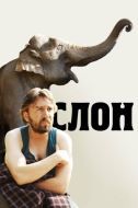 Постер Слон (2010)