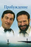 Постер Пробуждение (1990)