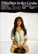 Постер Заяц в норе (1969)