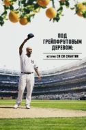 Постер Под грейпфрутовым деревом: История Си Си Сабатии (2020)
