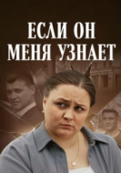 Постер Если он меня узнает (2024)
