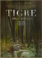 Постер Тигр (2017)