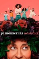 Постер Разноцветная комедия (2019)