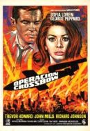 Постер Операция «Арбалет» (1965)