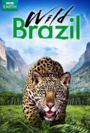 Постер Дикая Бразилия (2014)