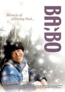 Постер Дурачок (2008)