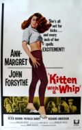 Постер Кошечка с хлыстом (1964)
