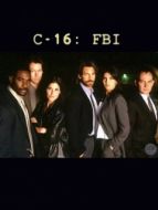 Постер Шестнадцатый отдел ФБР (1997)