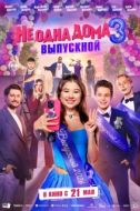Постер Не одна дома 3. Выпускной (2026)