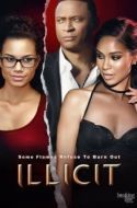 Постер Недозволенное (2017)
