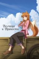 Постер Волчица и пряности (2008)