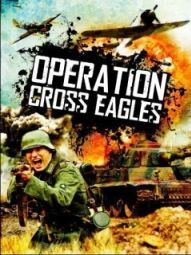 Постер Операция «Орлиный крест» (1968)