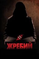Постер Жребий (2010)