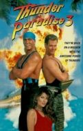 Постер Гром в раю 3 (1995)