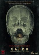 Постер Залив (2012)