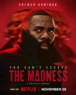 Постер Безумие (2024)