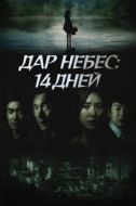 Постер Дар небес: 14 дней (2014)