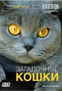 Постер BBC: Загадочные кошки (The Cat Connection)