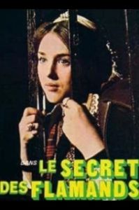 Постер Тайна фламандцев (Le secret des Flamands)