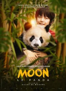 Постер Моя панда (Moon le panda)