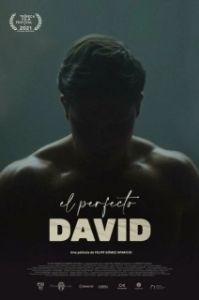 Постер Идеальный Давид (El perfecto David)