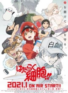 Постер Работа клеток (Hataraku Saibou!!)