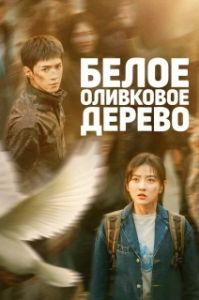 Постер Белое оливковое дерево (Bai Se Gan Lan Shu)