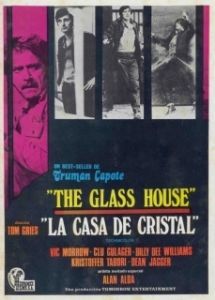 Постер Стеклянный дом (The Glass House)