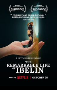 Постер Ibelin: Невероятная жизнь геймера (Ibelin)