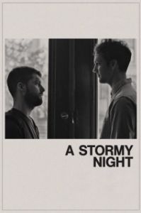 Постер Бурная ночь (A Stormy Night)