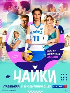 Постер Чайки 
