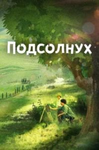 Постер Подсолнух 