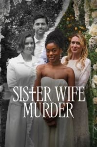 Постер Убийство жены (Sister Wife Murder)