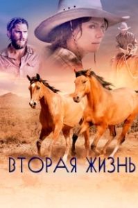 Постер Вторая жизнь (Out of the Wild)