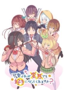Постер Полюбишь ли ты извращенку, если она милая? (Kawaikereba Hentai demo Suki ni Natte Kuremasu ka?)