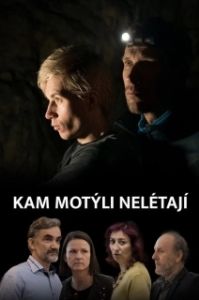 Постер Где не летают бабочки (Kam motýli nelétají)