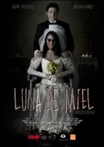 Постер Медовый месяц (Luna de miel)