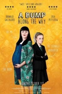 Постер Как снег на голову (A Bump Along the Way)