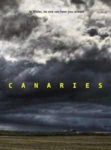 Постер Канарейки (Canaries)
