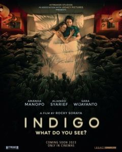 Постер Индиго (Indigo)