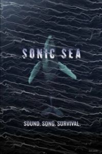 Постер Оглушающий океан (Sonic Sea)