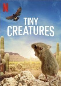 Постер Крошечные существа (Tiny Creatures)