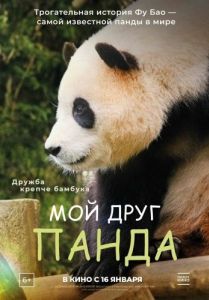 Постер Мой друг панда (Annyeong, halbuji)