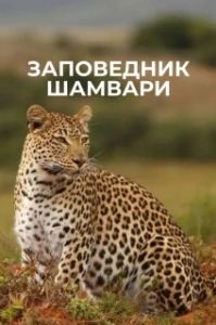 Постер Заповедник Шамвари (Shamwari Untamed)