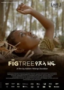 Постер Инжир (Fig Tree)