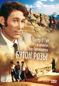 Постер Бутон розы (Rosebud)