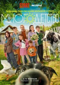 Постер Многодетство 