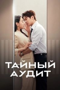 Постер Тайный аудит (Eunmilhan gamsa)